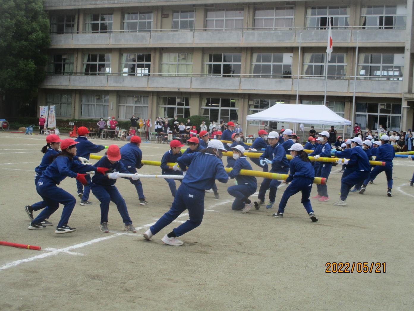 IMG_1180 IMG_1180