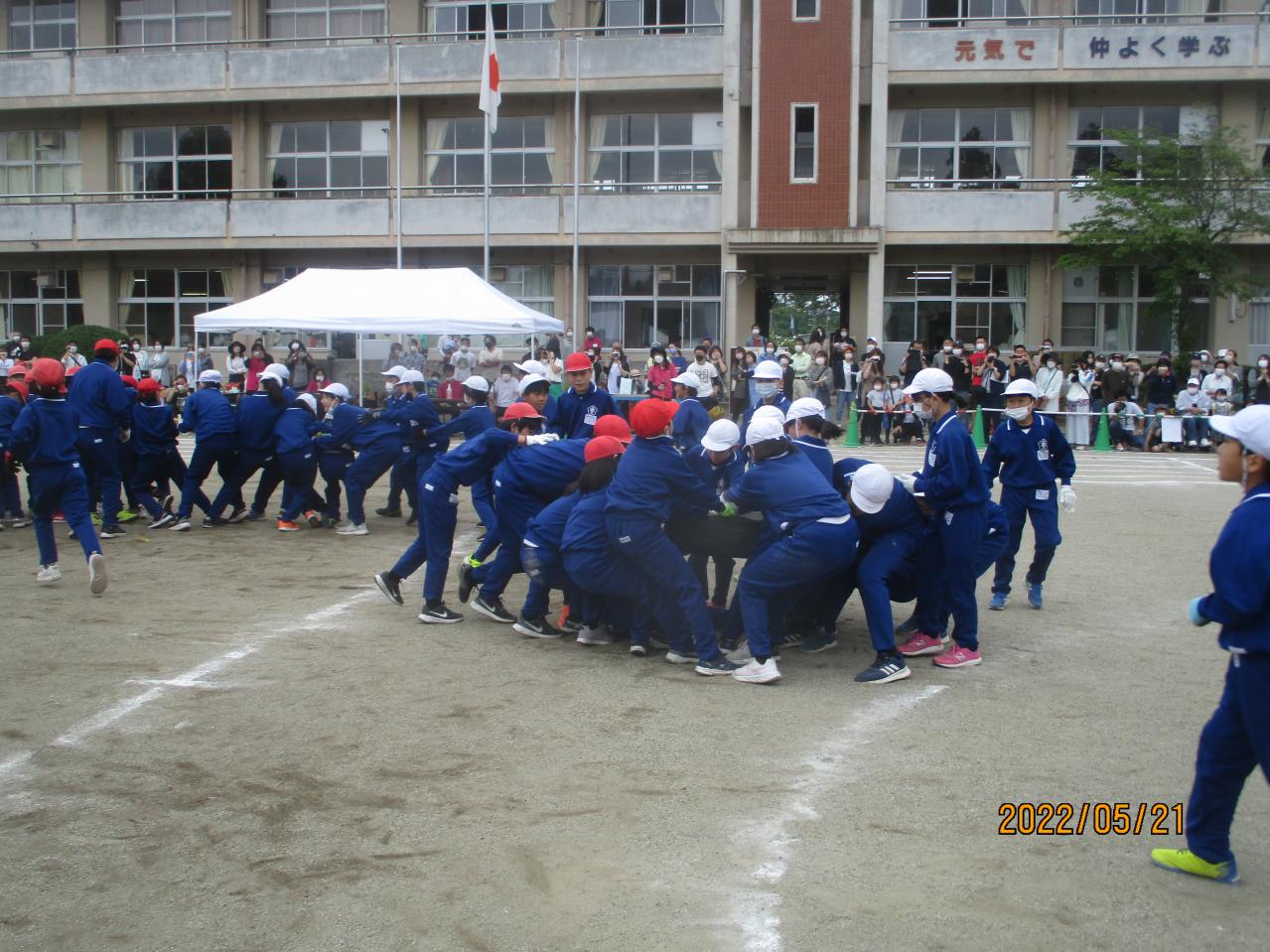 IMG_1188 IMG_1188