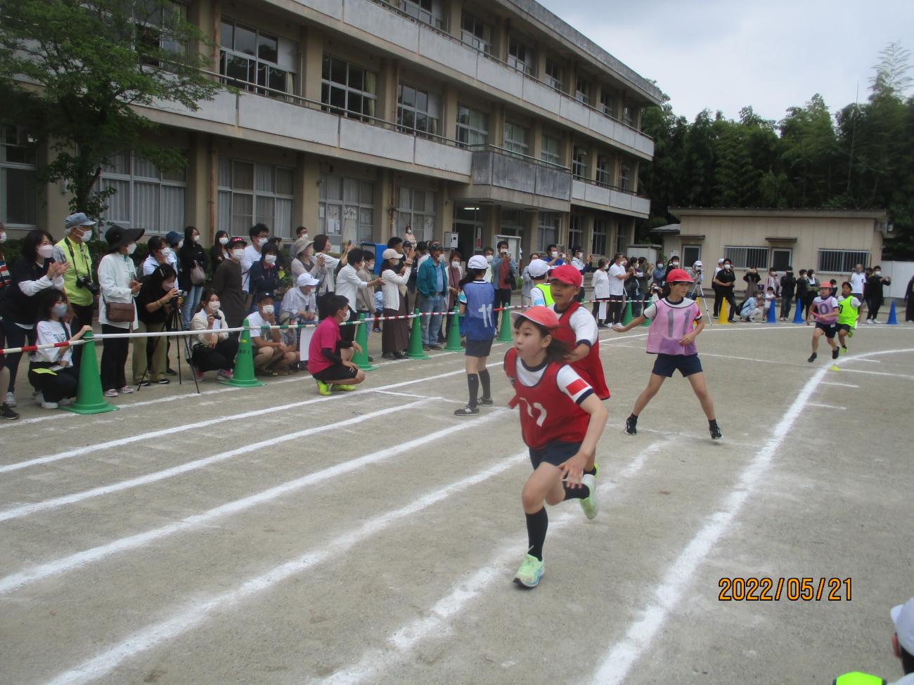 IMG_1209 IMG_1209