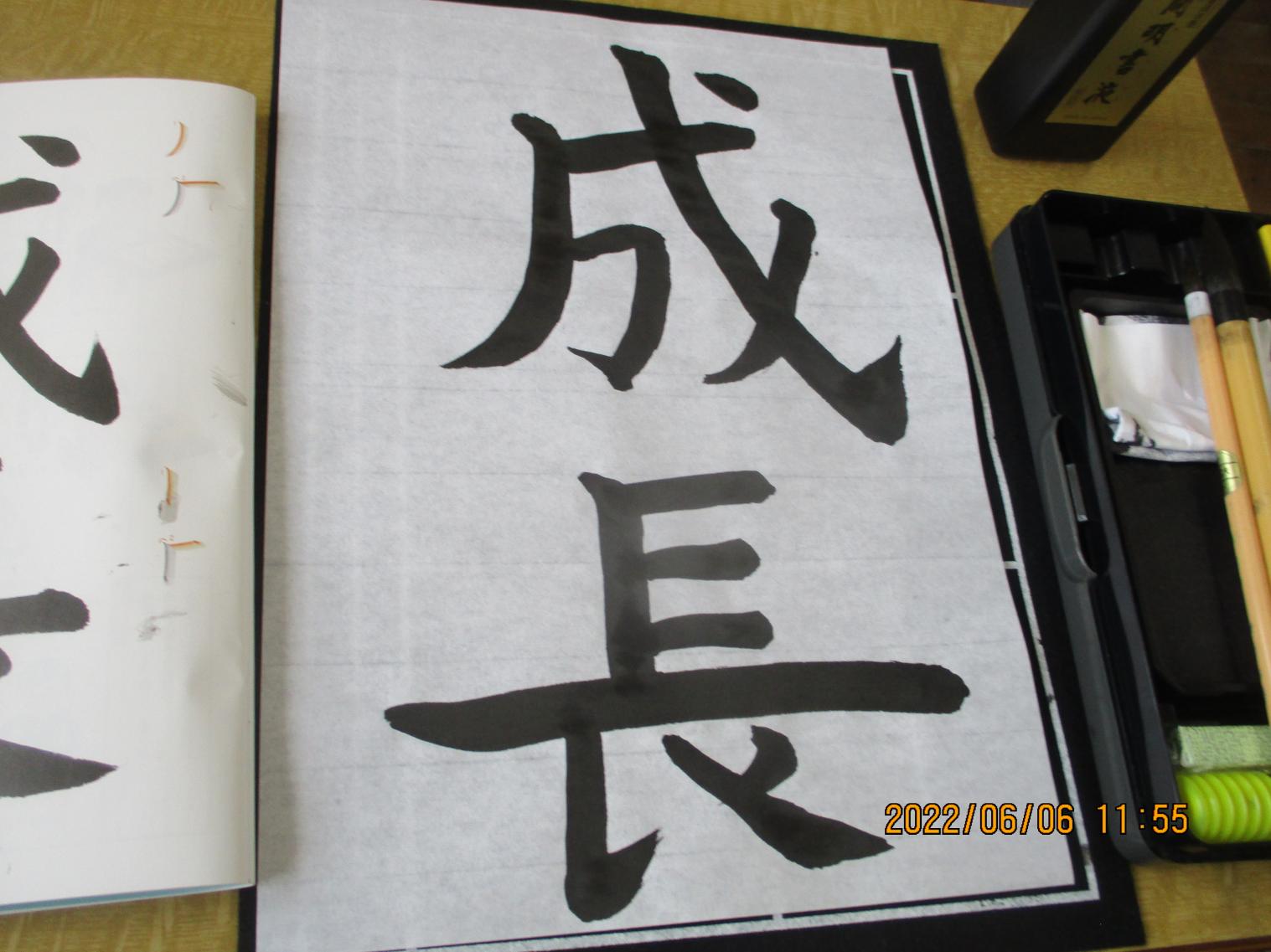 IMG_1355 IMG_1355