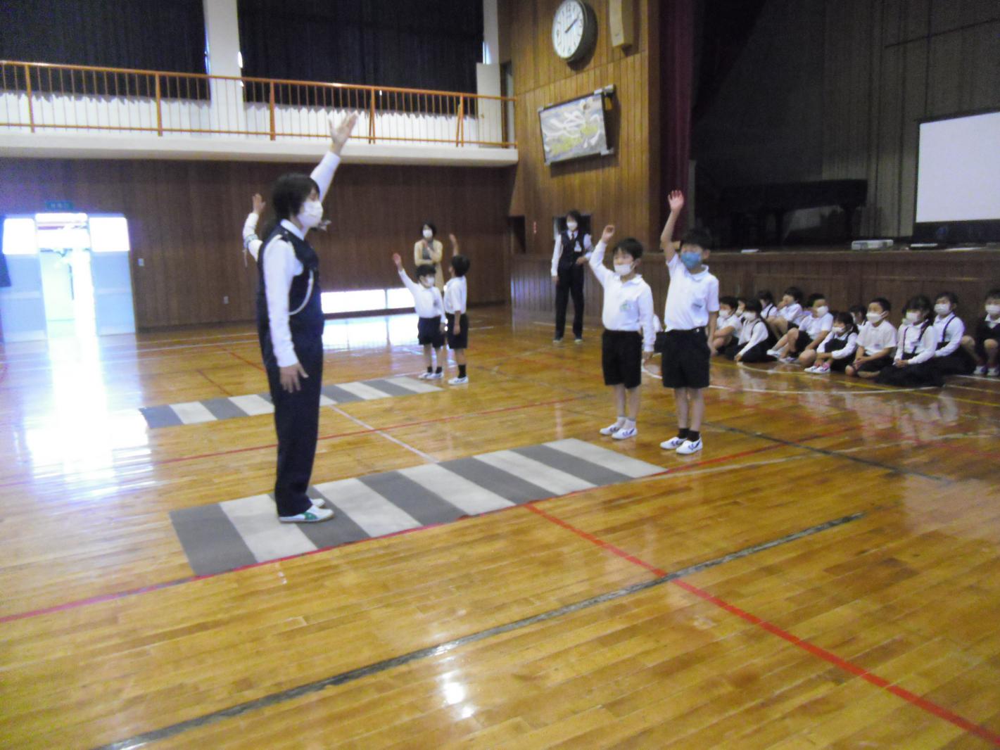 CIMG8337 CIMG8337