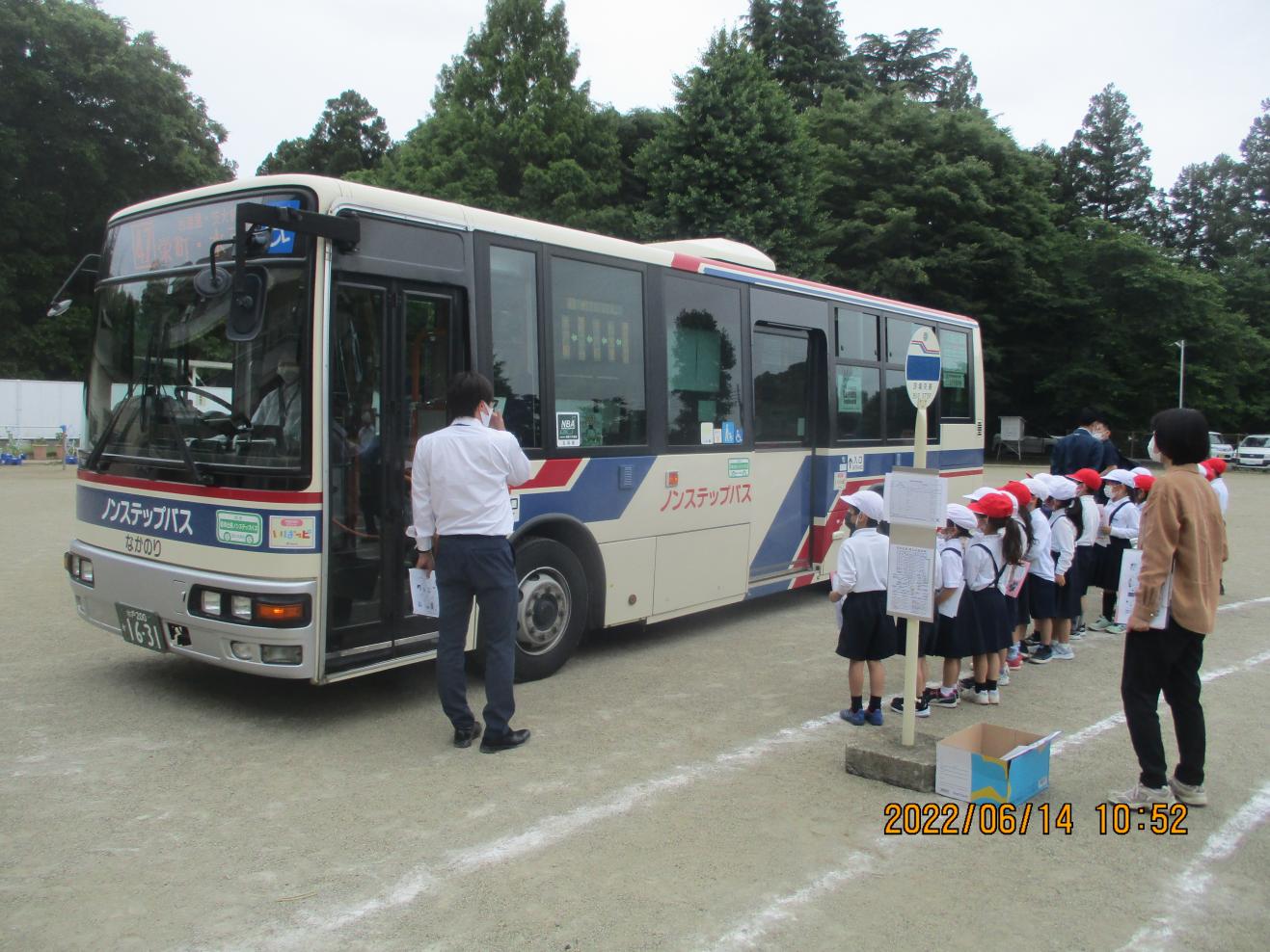 IMG_1733 IMG_1733