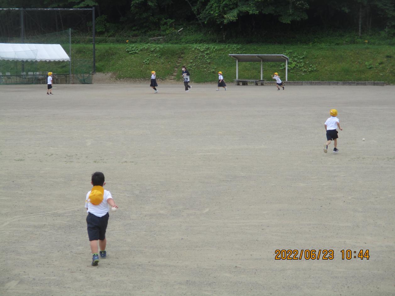 IMG_1937 IMG_1937