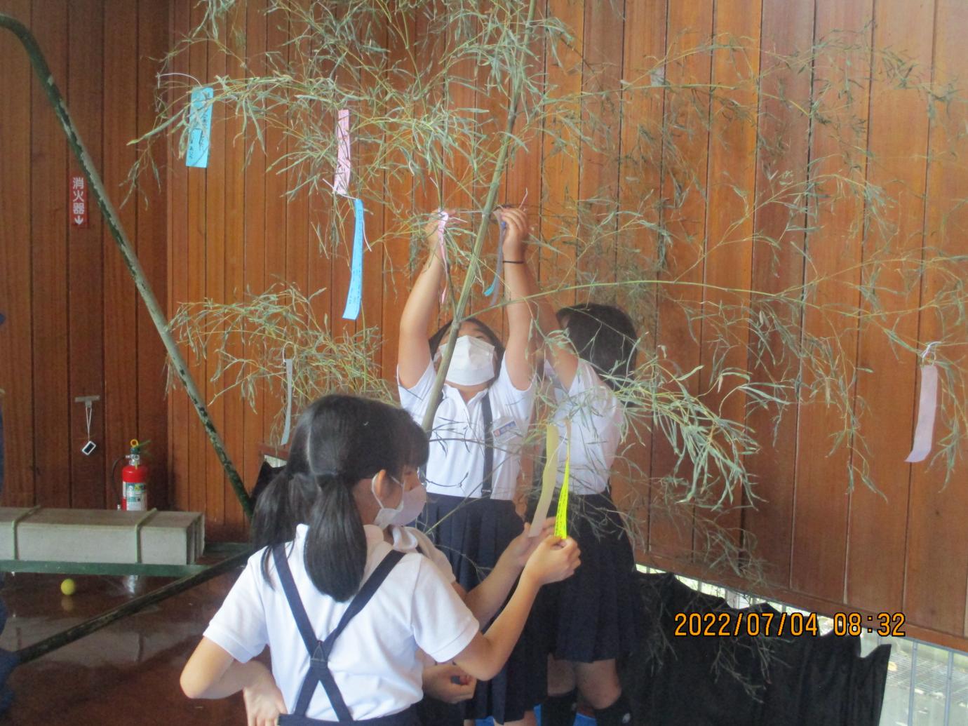 IMG_2115 IMG_2115