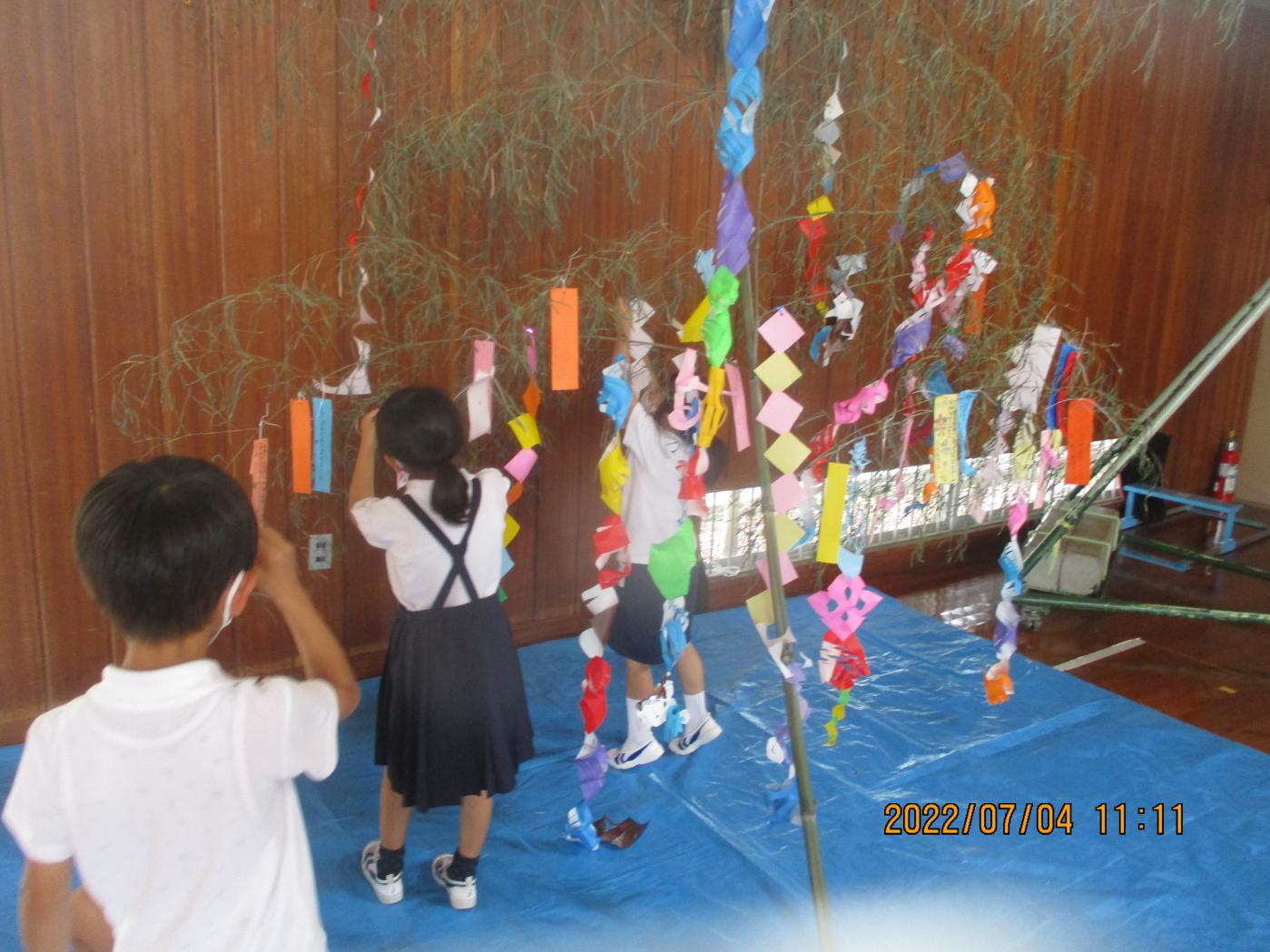 IMG_2134 IMG_2134