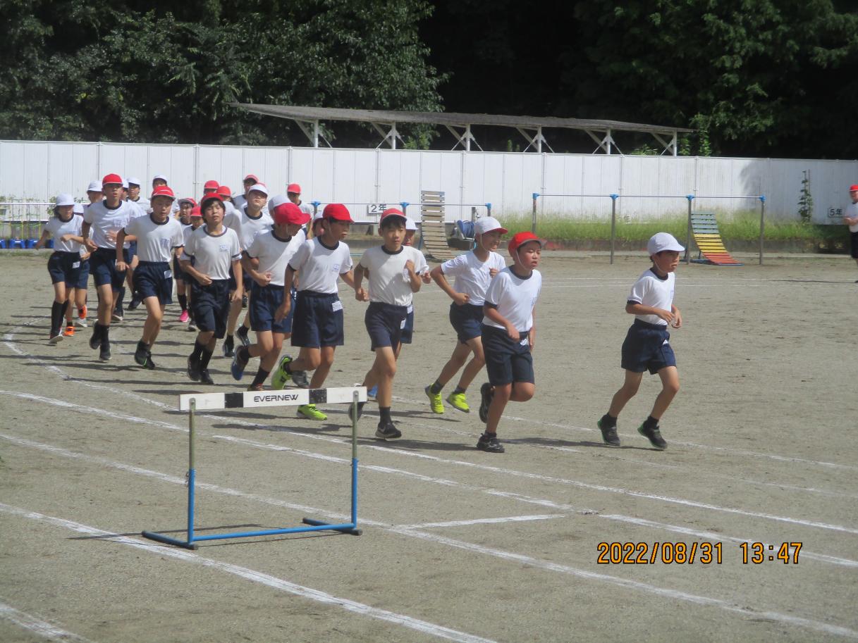 IMG_2459 IMG_2459