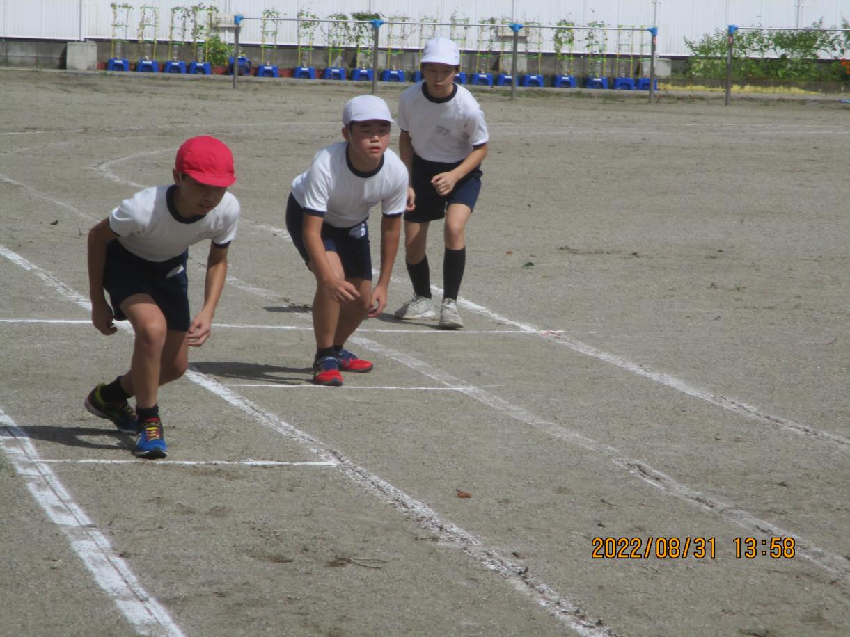 IMG_2464 IMG_2464