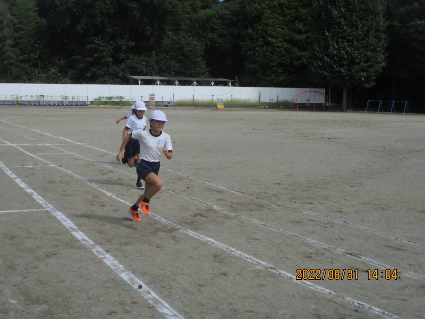 IMG_2471 IMG_2471