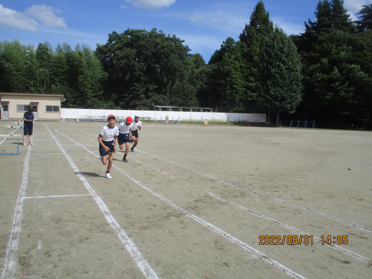 IMG_2472 IMG_2472
