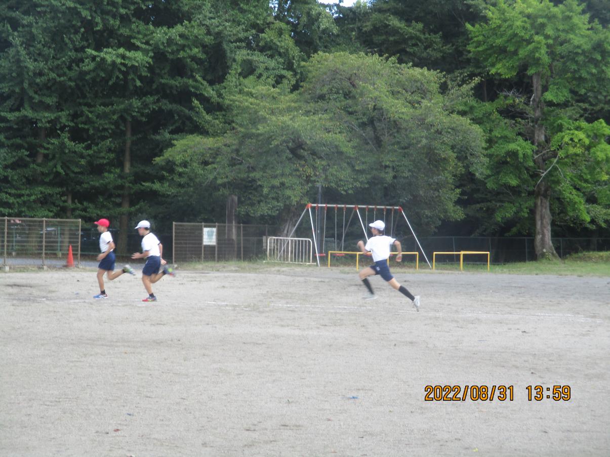 IMG_2465 IMG_2465