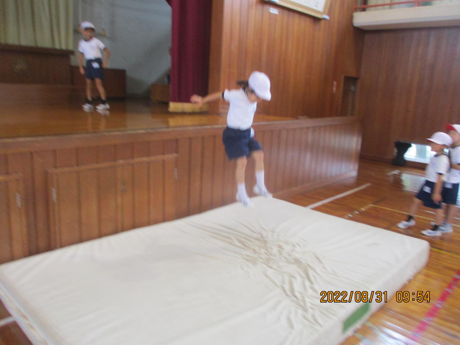 IMG_2436 IMG_2436