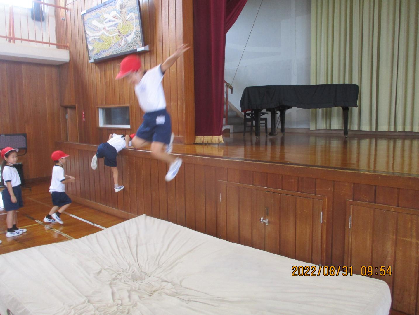 IMG_2441 IMG_2441