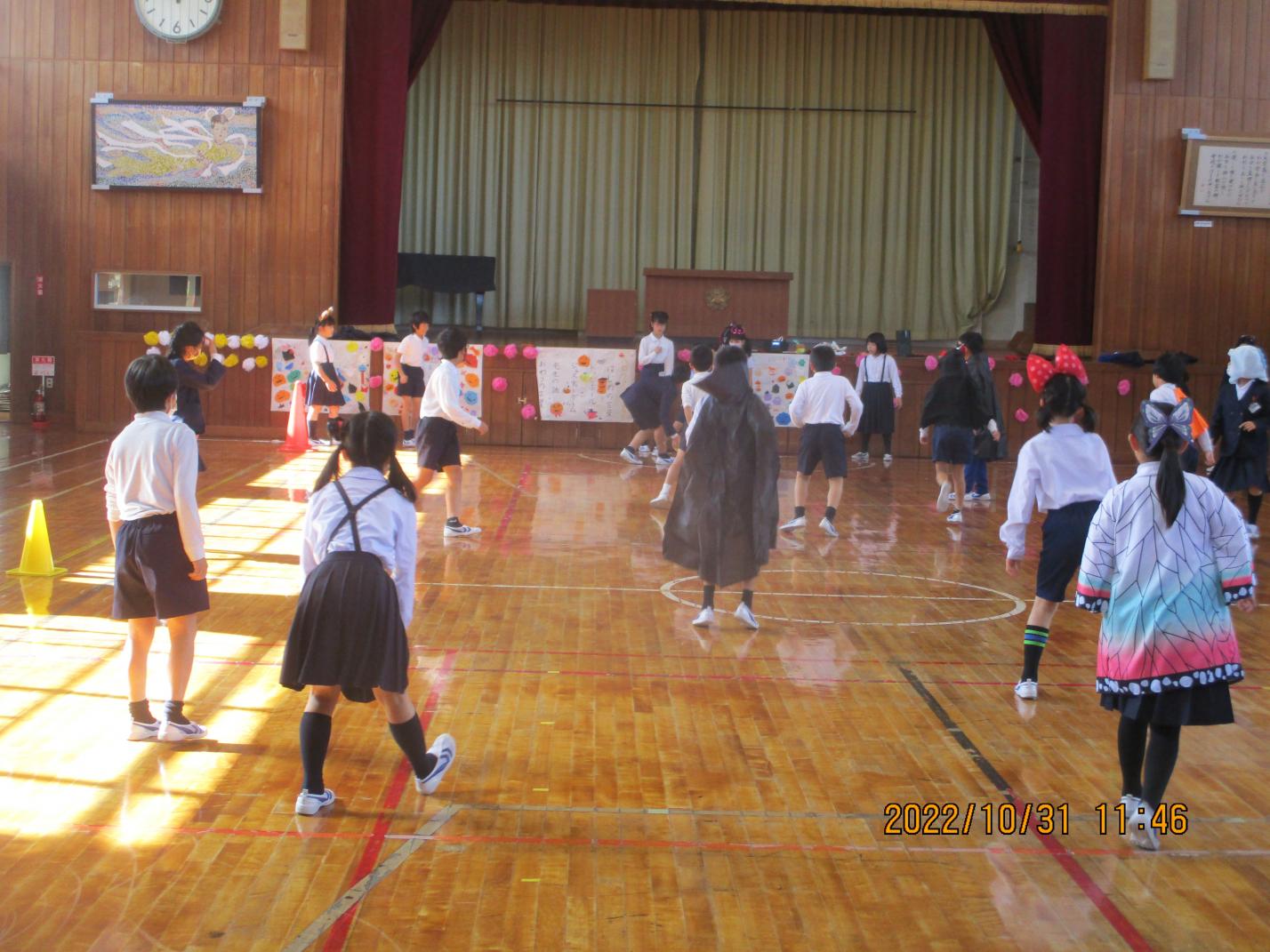 IMG_2557 IMG_2557
