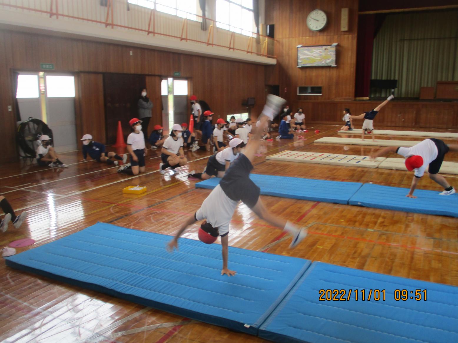 IMG_2590 IMG_2590