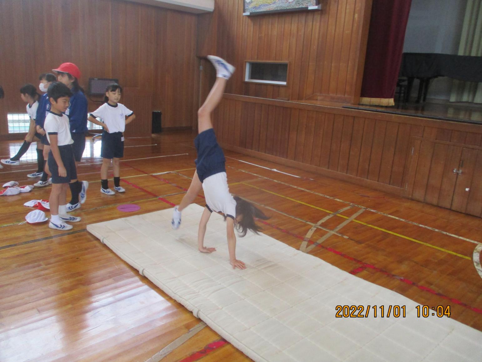 IMG_2617 IMG_2617