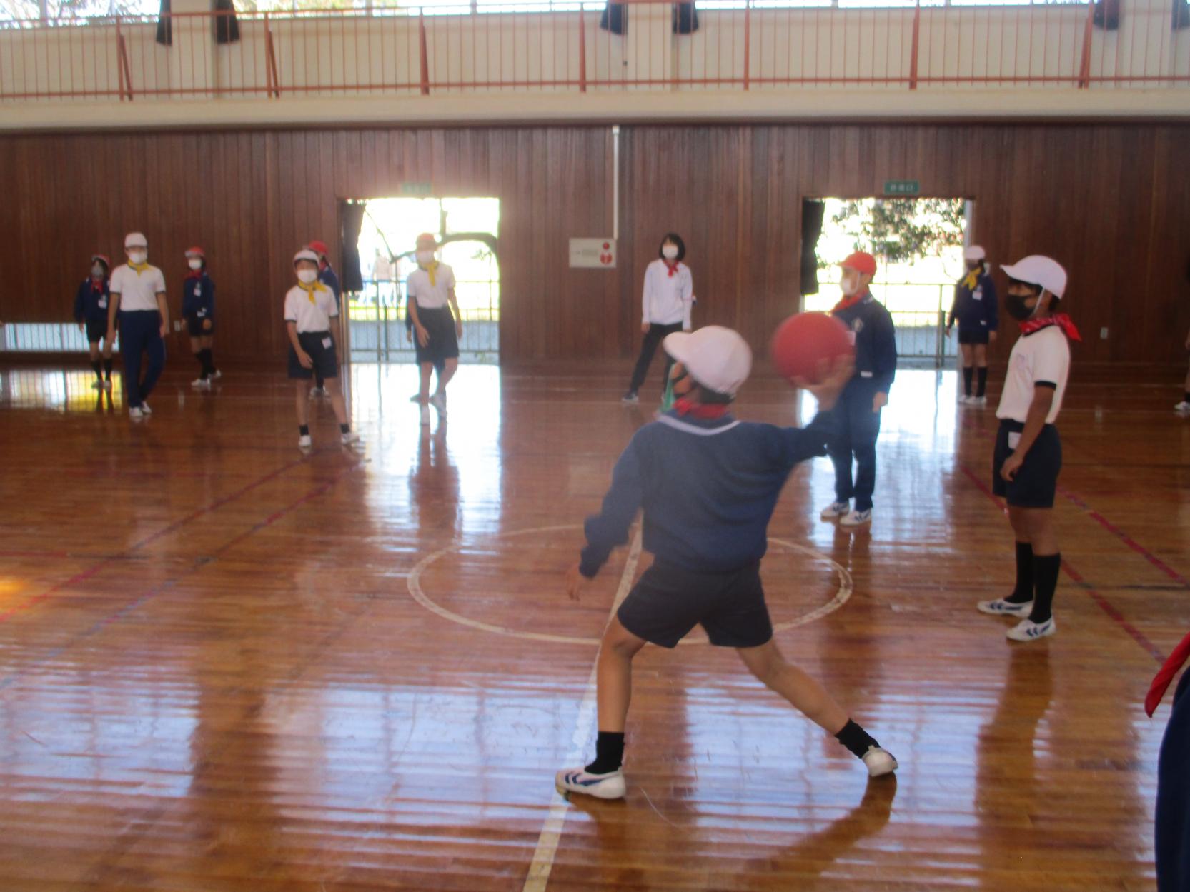 IMG_2878 IMG_2878