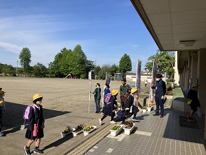 IMG_7951