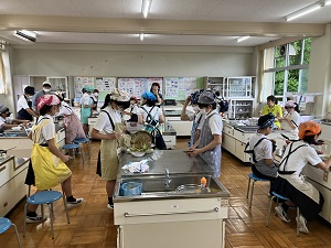 IMG_8299 IMG_8299