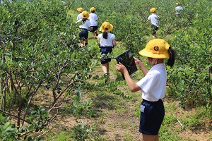 IMG_2427 IMG_2427