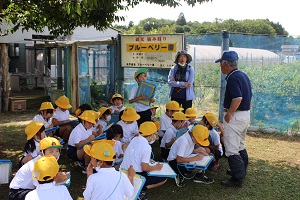 IMG_2475 IMG_2475