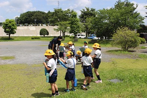 IMG_2537 IMG_2537