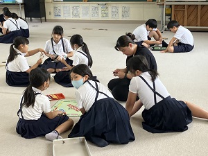 IMG_8556 IMG_8556