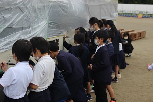 IMG_3330 IMG_3330