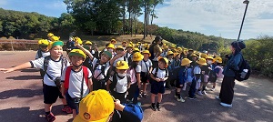 IMG_9646 IMG_9646