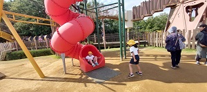 IMG_9652 IMG_9652