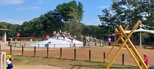 IMG_9654 IMG_9654
