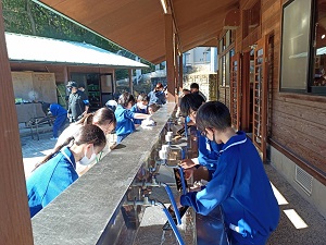 IMG_9726 IMG_9726