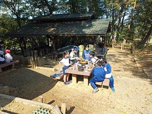 IMG_9945 IMG_9945
