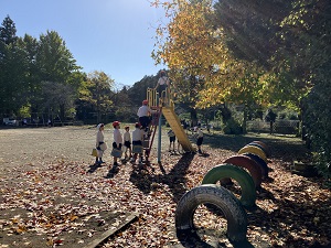IMG_0088 IMG_0088