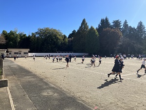 IMG_0212