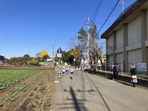 IMG_0294 IMG_0294