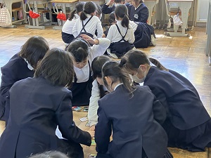 IMG_1517 IMG_1517