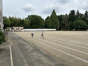 IMG_2531
