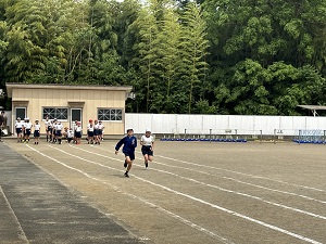 IMG_2532 IMG_2532