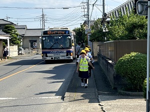 IMG_2916 IMG_2916