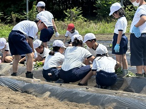 IMG_2991 IMG_2991