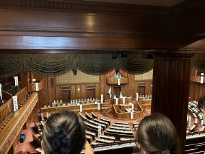 IMG_3085