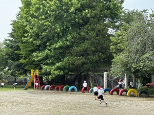IMG_3406 IMG_3406