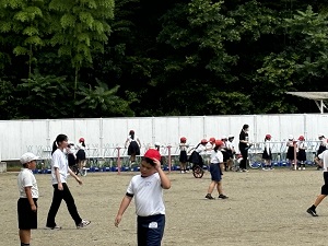IMG_3409 IMG_3409