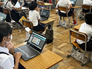 IMG_3521 IMG_3521