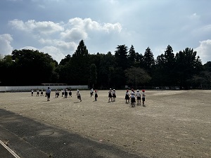 IMG_4011 IMG_4011