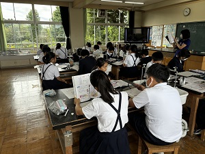 IMG_4013 IMG_4013