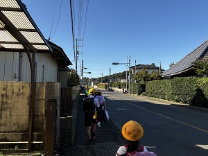 IMG_4050 IMG_4050