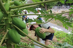 IMG_4439 IMG_4439