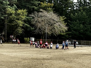 IMG_4217 IMG_4217