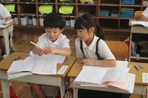 IMG_4453 IMG_4453